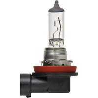 H8 Basic Headlight Bulb, Halogen, 35 W, Off White Moffatt Supply & Specialties