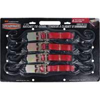 Ratchet Utility Straps, S-Hook, 1" W x 12' L, 500 lbs. (230 kg) Working Load Limit Moffatt Supply & Specialties