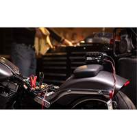 Chargeur de batterie 10 A Genius 10 Moffatt Supply & Specialties