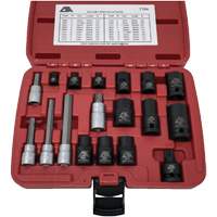 18-Piece Brake Caliper Socket Set Moffatt Supply & Specialties