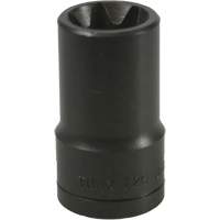 E-20 Torx&reg; Socket Moffatt Supply & Specialties