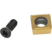 Replacement Carbide & Screw for Pocket Scrapers Moffatt Supply & Specialties