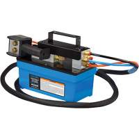 Air Actuated Hyd Treadle Pump with Remote & 90 in³ Oil Capacity Moffatt Supply & Specialties