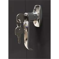 Storage Cabinet, Steel, 4 Shelves, 66" H x 30" W x 15" D, Black Moffatt Supply & Specialties