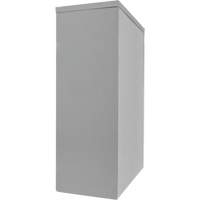 Counter-High Storage Cabinet, Steel, 2 Shelves, 42" H x 30" W x 15" D, Grey Moffatt Supply & Specialties