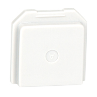 BW Gas Detector Dummy Sensor for Toxic Location Moffatt Supply & Specialties