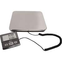 Digital Receiving Scale, 220 lbs. Cap., 1 lbs. Graduations Moffatt Supply & Specialties
