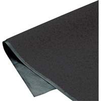 ColorStar Matting, Wiper, 3' x 5' x 3/8", Charcoal Moffatt Supply & Specialties