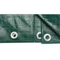Tarp, Heavy-Duty, Green, 8' x 6' x 9 mils Moffatt Supply & Specialties