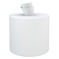 Paper Hand Towel Rolls