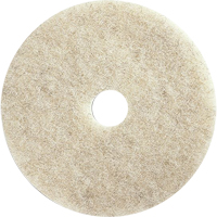 Tampons pour l'entretien des planchers, 21", Brunissage, Brun Moffatt Supply & Specialties