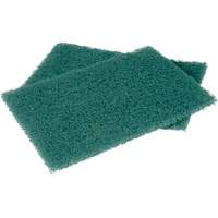 Scotch-Brite Hand Pads, Scrubbing, 6" W x 9" L Moffatt Supply & Specialties