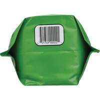 Biodegradable Hand Cleaner, Powder, 4.5 lbs., Packet, Unscented Moffatt Supply & Specialties