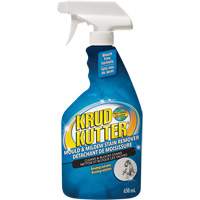 Mold and Mildew Spray, 650 ml, Trigger Bottle Moffatt Supply & Specialties