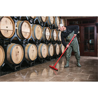 Fixed Head Food Hygiene Floor Squeegee, 20", Green Moffatt Supply & Specialties