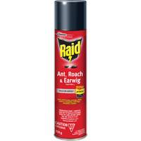 Insecticide contre fourmis, coquerelles et perce-oreilles Raid, 350 g, &agrave; base de solvant Moffatt Supply & Specialties