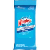Windex&reg; Glass & Surface Wipes, Packets Moffatt Supply & Specialties