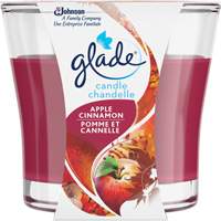 Glade&reg; Jar Candle, Apple Cinnamon Moffatt Supply & Specialties