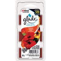 Cubes de cire parfum&eacute;e Glade, Brise exotique Moffatt Supply & Specialties