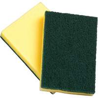 Sponges with Scouring Pad, Scrubbing, 4" W x 6" L Moffatt Supply & Specialties
