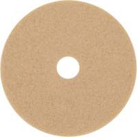 Trizact Diamond TZ Abrasive Strip, 20", Burnishing, Beige Moffatt Supply & Specialties