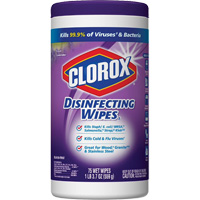 Disinfecting Wipes, 75 Count Moffatt Supply & Specialties