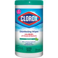 Disinfecting Wipes, 75 Count Moffatt Supply & Specialties