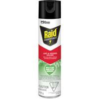 Insecticide pour araign&eacute;es et fourmis Essentials Raid, 350 g, Canette a&eacute;rosol Moffatt Supply & Specialties