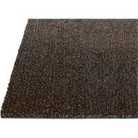 Palliser Indoor Matting, Wiper/Scraper, 3-1/2' x 6' x 5/16", Anglis Moffatt Supply & Specialties