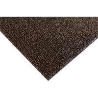 Palliser Indoor Matting, Wiper/Scraper, 3-1/2' x 6' x 5/16", Anglis Moffatt Supply & Specialties