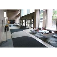 Supreme Knob Entrance Matting, Wiper/Scraper, 3-1/2' x 6' x 7/16", Charcoal Moffatt Supply & Specialties