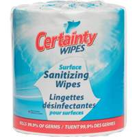 Surface Sanitizing Wipes, Packet Moffatt Supply & Specialties