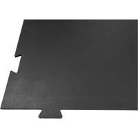 Plancher pour centre d'entraînement &agrave; la maison Voyager Moffatt Supply & Specialties