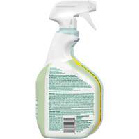 CloroxPro Clorox EcoClean Disinfecting Cleaner, 946 ml, Trigger Bottle Moffatt Supply & Specialties