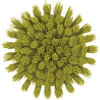 Brosse ronde HyDrive pour perceuse, Soies Tr&egrave;s ferme, Longueur de 3-1/10", Jaune Moffatt Supply & Specialties
