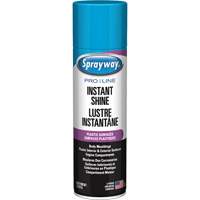 Brillant instantan&eacute; Pro Line pour surfaces en plastique, 11 oz, Canette a&eacute;rosol Moffatt Supply & Specialties