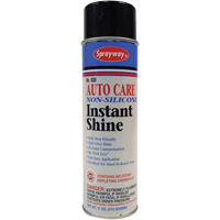 Pro Line Non-Silicone Instant Shine Moffatt Supply & Specialties