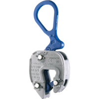 Lifting Clamps