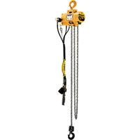 Budgit&reg; Air Chain Hoists Moffatt Supply & Specialties
