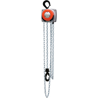 Hurricane 360° Chain Hoist, 10' Lift, 1000 lbs. (0.5 tons) Capacity, Steel Chain Moffatt Supply & Specialties