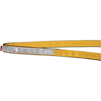 &eacute;lingues de levage en nylon, Pli Simple, Sans fin, Type 5, 1" la x 3' lo, Limite de charge verticale 3200 lb Moffatt Supply & Specialties