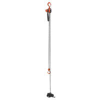 Mini Lever Hoist, 15' Lift, 500 lbs. (0.25 tons) Capacity, Steel Chain Moffatt Supply & Specialties