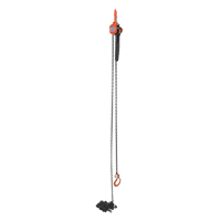 Mini Lever Hoist, 15' Lift, 1000 lbs. (0.5 tons) Capacity, Steel Chain Moffatt Supply & Specialties