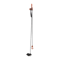 Mini Lever Hoist, 20' Lift, 1000 lbs. (0.5 tons) Capacity, Steel Chain Moffatt Supply & Specialties