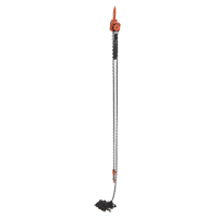 Mini Lever Hoist, 20' Lift, 1000 lbs. (0.5 tons) Capacity, Steel Chain Moffatt Supply & Specialties
