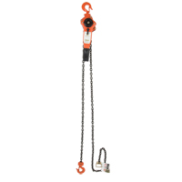 Lever Chain Hoist, 5' Lift, 3000 lbs. (1.5 tons) Capacity, Alloy Steel Chain Moffatt Supply & Specialties