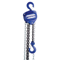 Chain Hoist, 10' Lift, 2000 lbs. (1 tons) Capacity, Load Chain Grade 80 Chain Moffatt Supply & Specialties