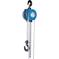 Tralift&reg; Manual Chain Hoist, 10' Lift, 4000 lbs. (2 tons) Capacity, Grade 80 Chain Moffatt Supply & Specialties