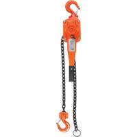 Lever Hoist, 10' Lift, 1500 lbs. (0.75 tons) Capacity, Alloy Steel Chain Moffatt Supply & Specialties