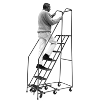 All Directional Ladders, 6 Steps, 16" Step Width, 60" Platform Height, Steel Moffatt Supply & Specialties